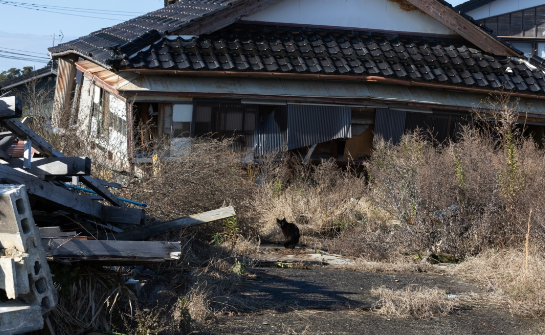 最新损失估算报告：日本有特大地震风险，或致近30万人死亡