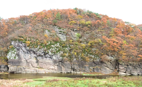 韩国盘龟川岩画有望被列入世界遗产名录