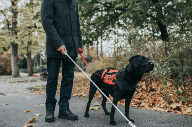 意大利男假冒盲人50年 诈领百万欧元抚恤金