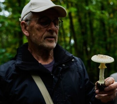 采菌子成德国生活新风尚,黑森林山脉、阿尔卑斯山成为热门打卡地