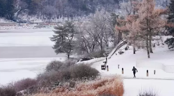 加拿大10省区接天气警报 安省暴雪亚省寒冷卑诗豪雨